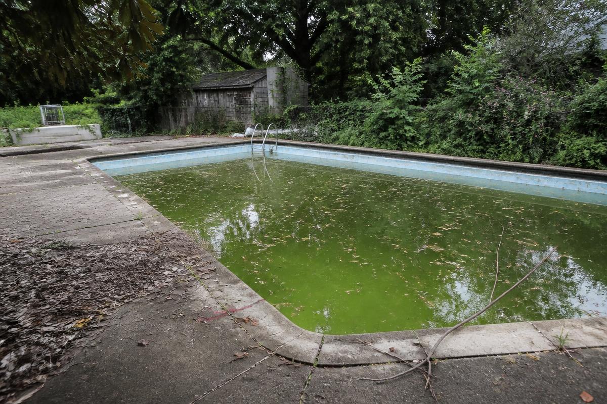 Green algae-filled swimming pool being vacuumed during a green-to-clean recovery in Gretna LA